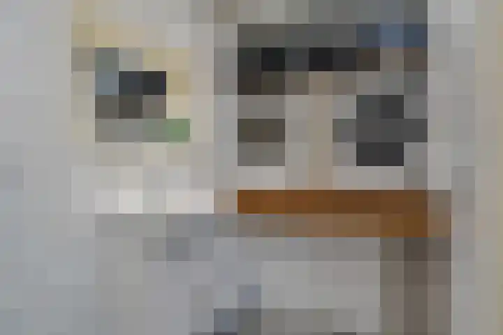 Lage Trijnweg 28 Spijk thumbnail 44