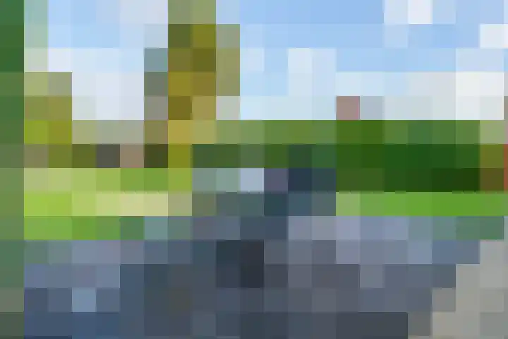 Lage Trijnweg 28 Spijk thumbnail 48