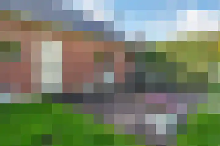 Lage Trijnweg 28 Spijk thumbnail 49