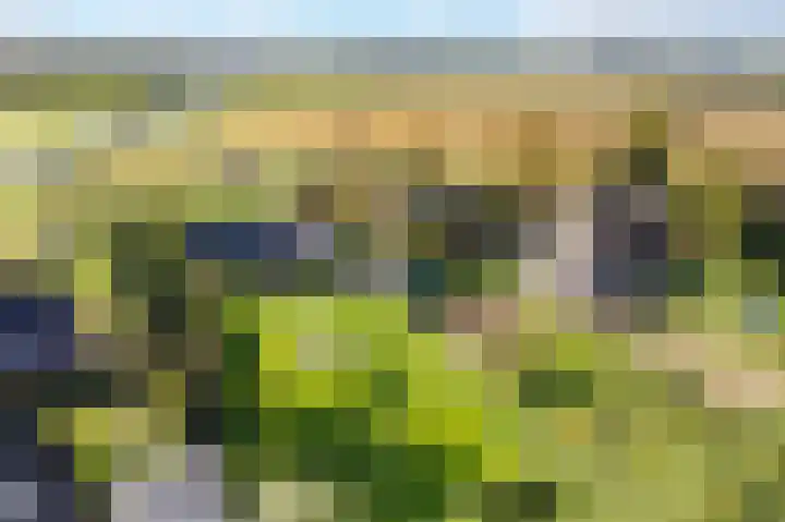 Lage Trijnweg 28 Spijk thumbnail 5