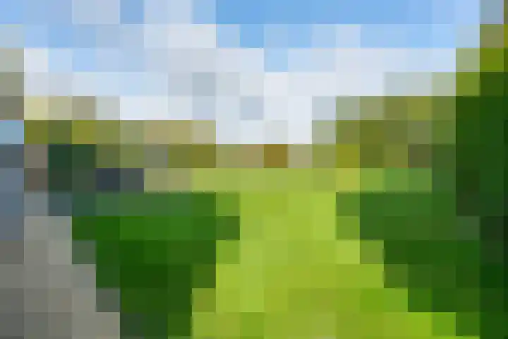 Lage Trijnweg 28 Spijk thumbnail 50