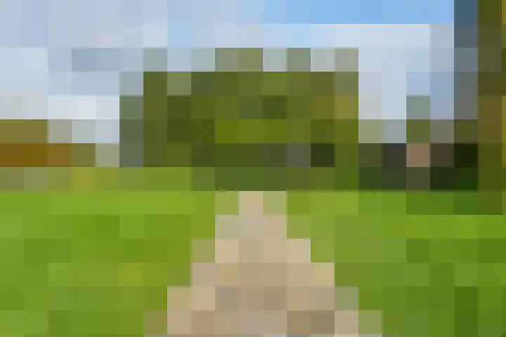 Lage Trijnweg 28 Spijk thumbnail 51