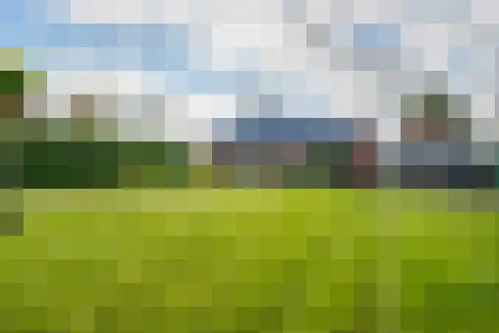 Lage Trijnweg 28 Spijk thumbnail 52