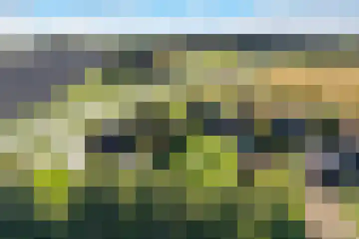 Lage Trijnweg 28 Spijk thumbnail 56