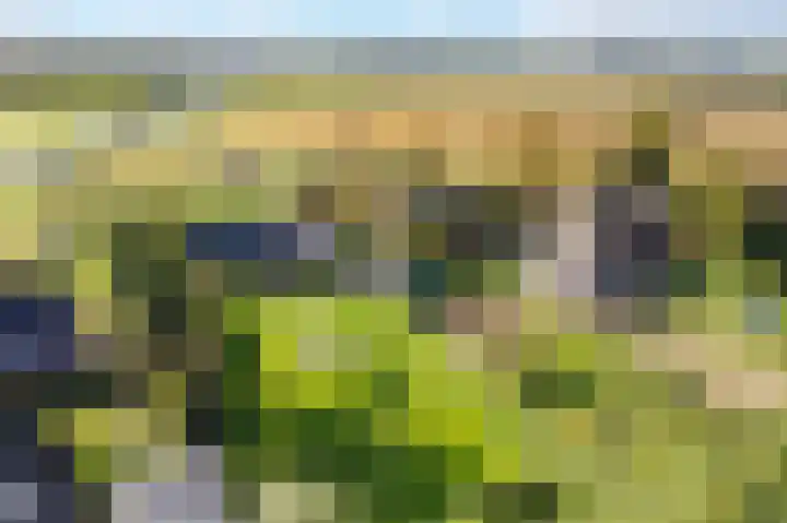 Lage Trijnweg 28 Spijk thumbnail 57
