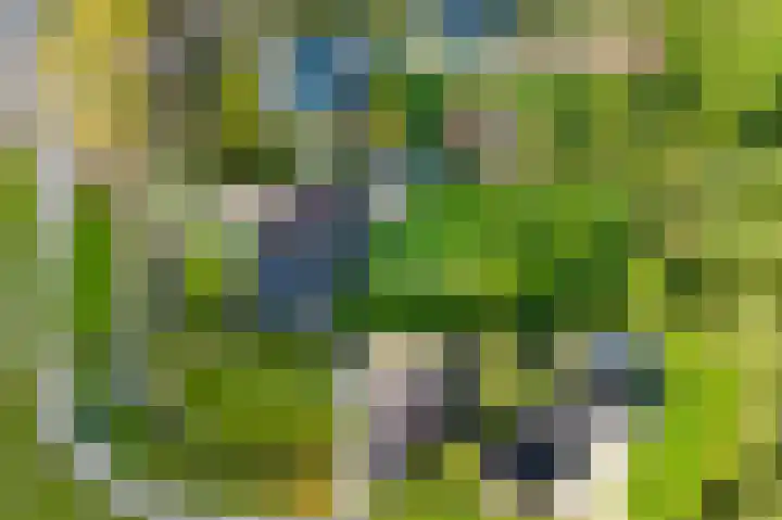 Lage Trijnweg 28 Spijk thumbnail 58