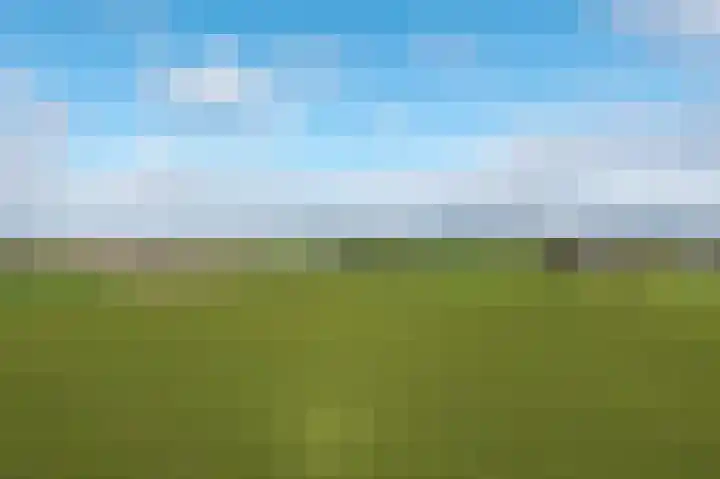 Lage Trijnweg 28 Spijk thumbnail 59