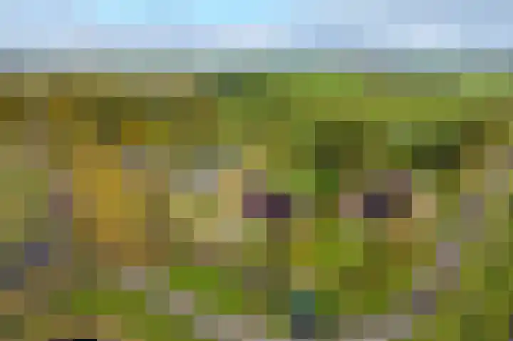 Lage Trijnweg 28 Spijk thumbnail 6