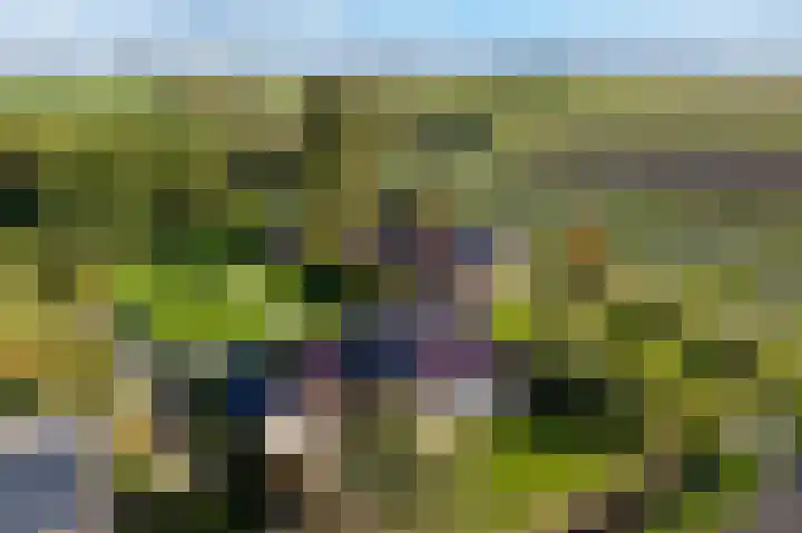 Lage Trijnweg 28 Spijk thumbnail 7