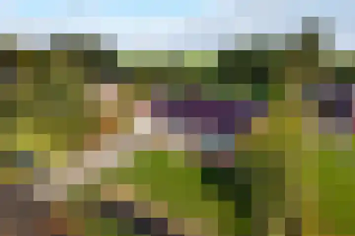 Lage Trijnweg 28 Spijk thumbnail 8