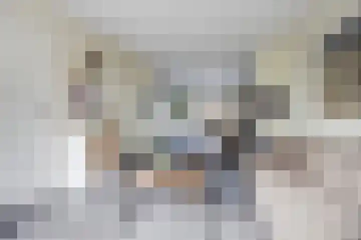 Lage Vaartkant 60 Etten-Leur thumbnail 10
