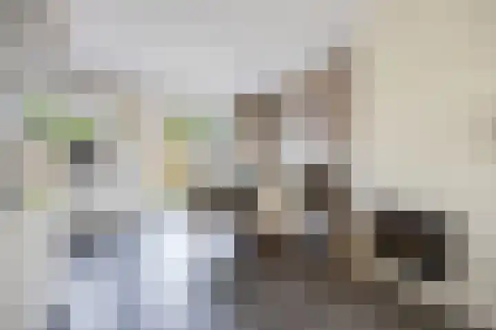 Lage Vaartkant 60 Etten-Leur thumbnail 11
