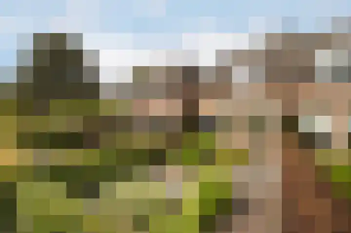 Lage Vaartkant 60 Etten-Leur thumbnail 5