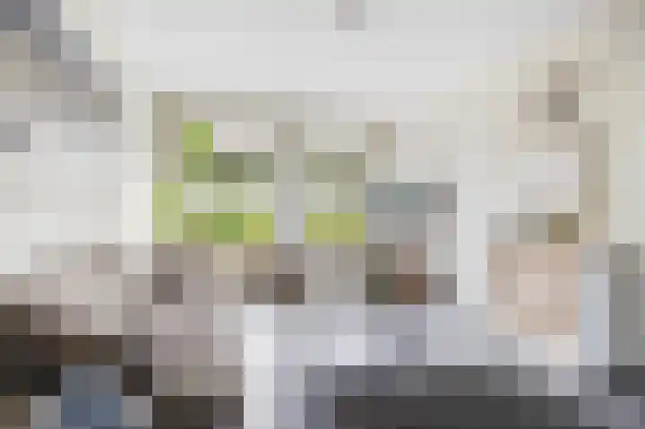 Lage Vaartkant 60 Etten-Leur thumbnail 8