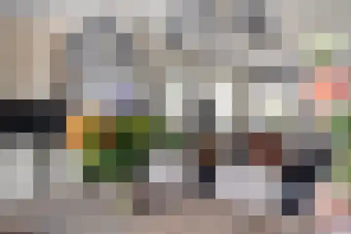 Lage Vaartkant 62 Etten-Leur thumbnail 13