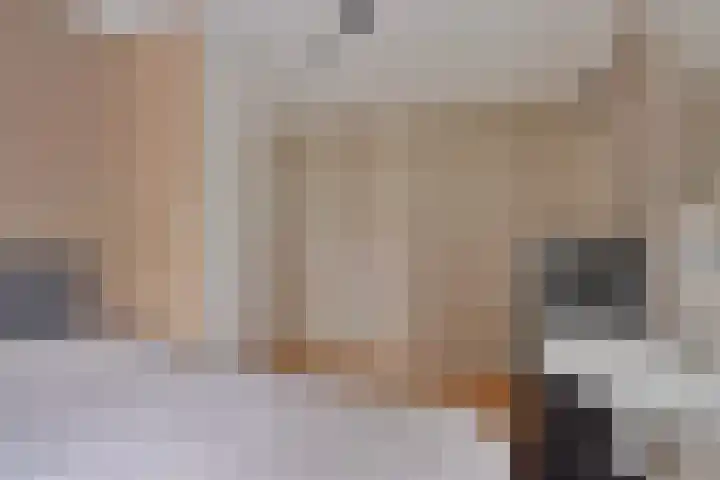 Lage Vaartkant 62 Etten-Leur thumbnail 26