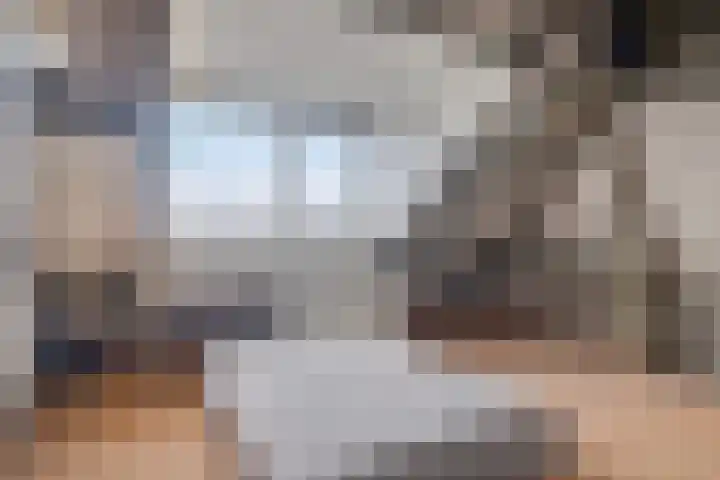 Lage Vaartkant 62 Etten-Leur thumbnail 33