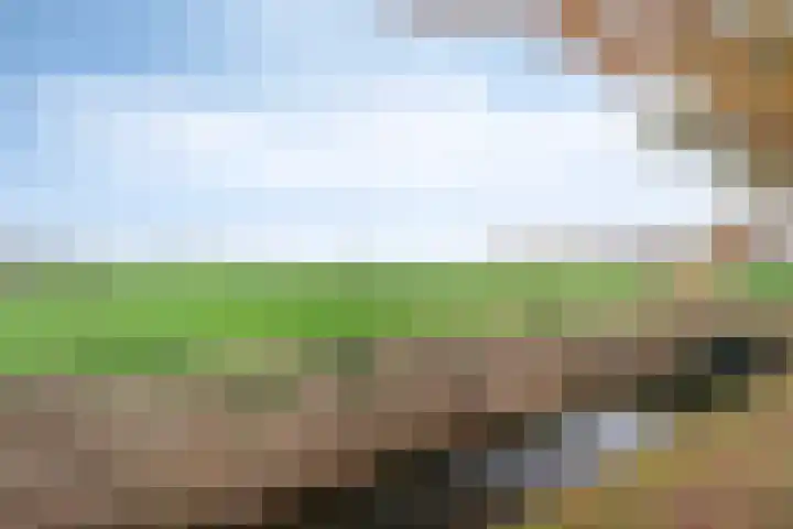 Lage Vaartkant 62 Etten-Leur thumbnail 36
