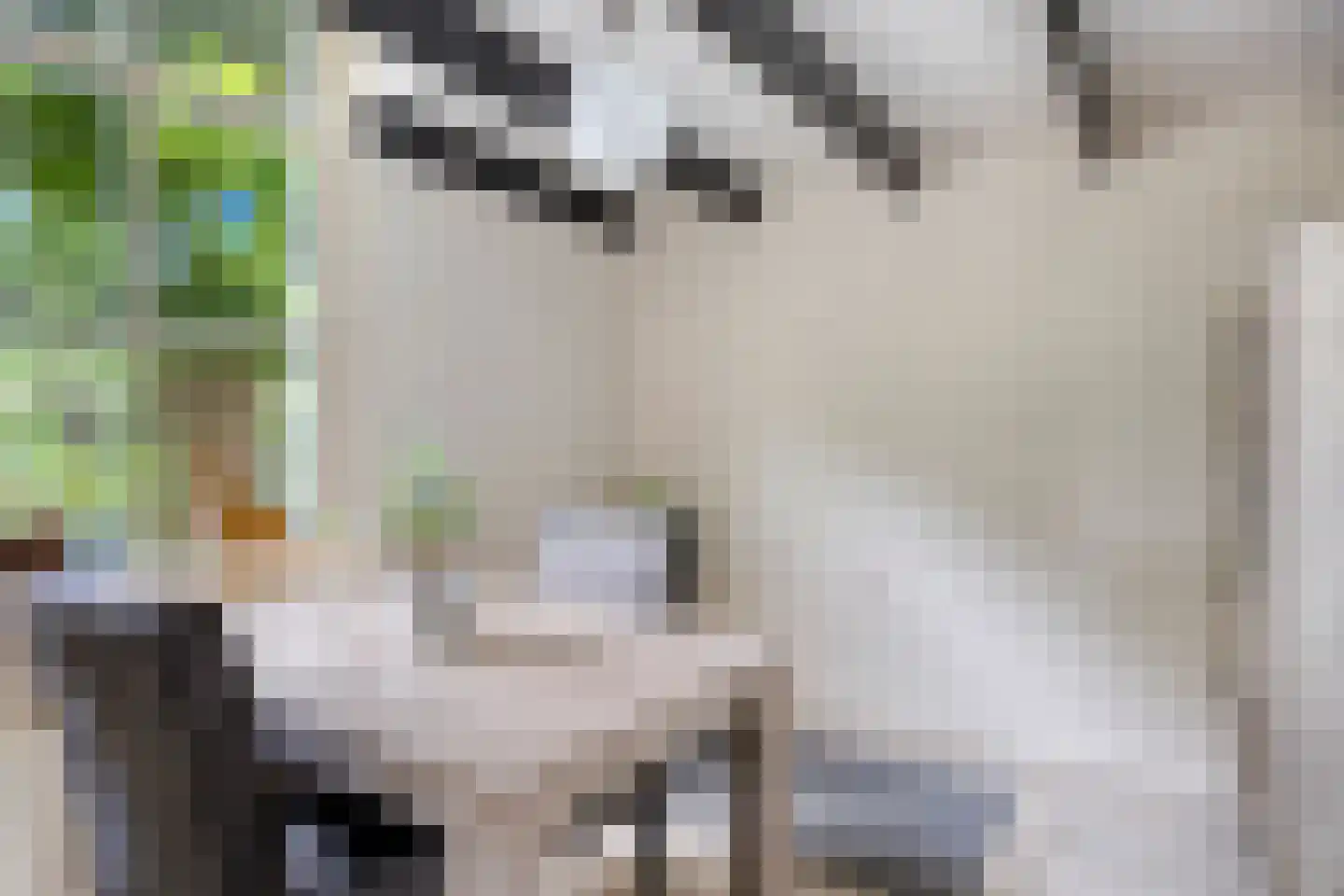Lage Veenweg 6 Emst thumbnail 14