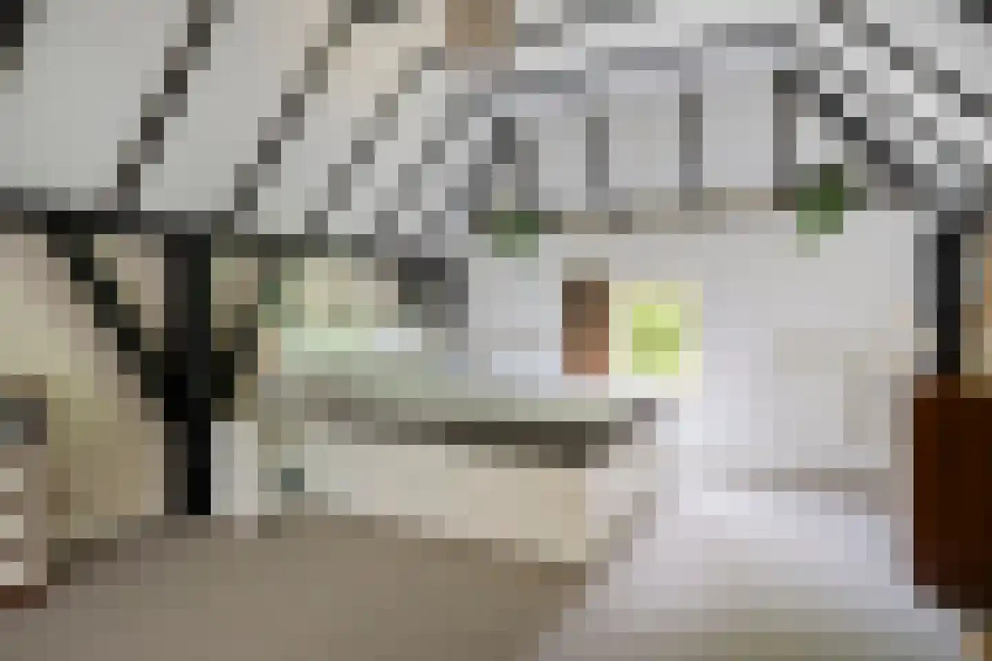 Lage Veenweg 6 Emst thumbnail 23