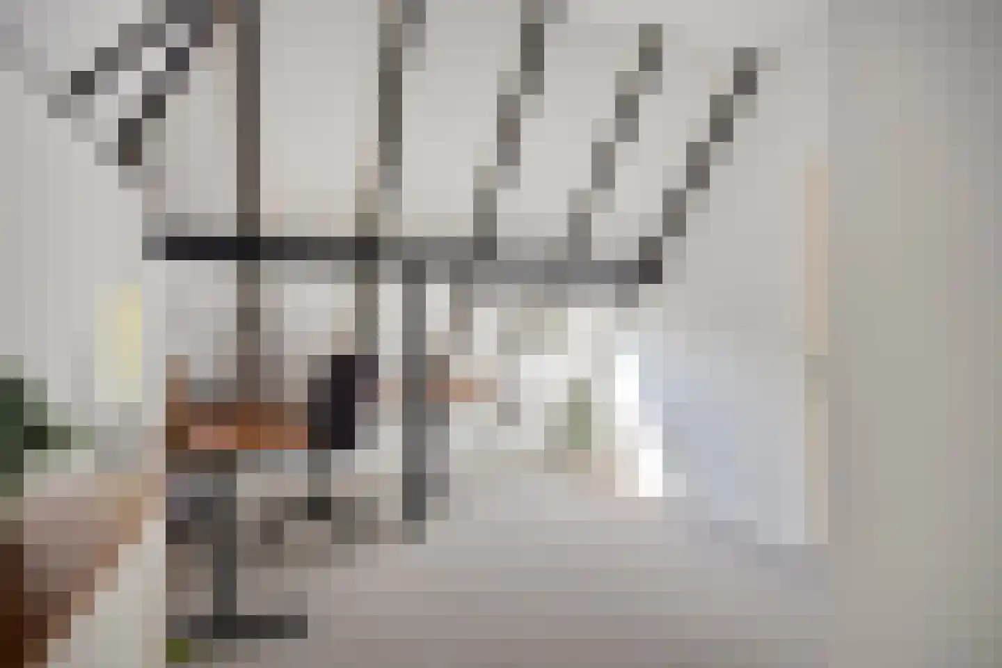 Lage Veenweg 6 Emst thumbnail 26