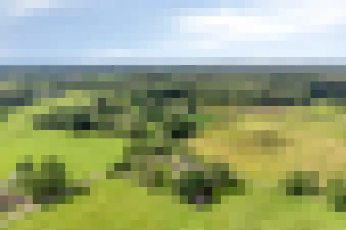 Lage Veenweg 6 Emst foto 3