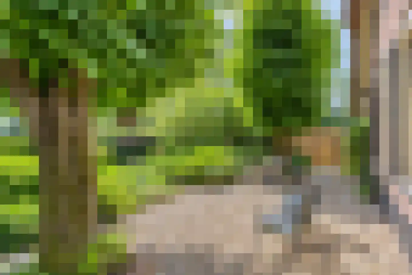 Lage Veenweg 6 Emst thumbnail 34