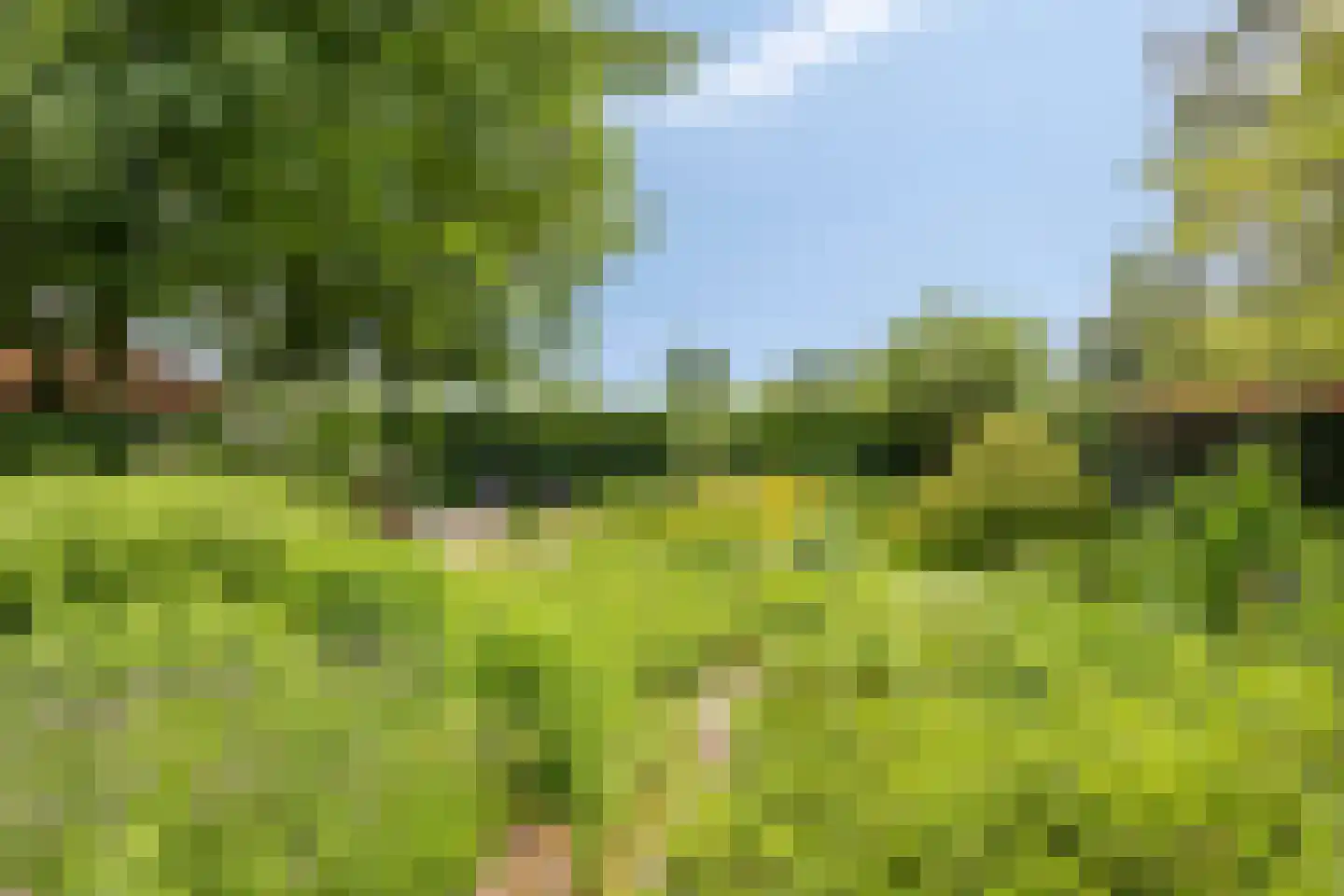 Lage Veenweg 6 Emst thumbnail 36