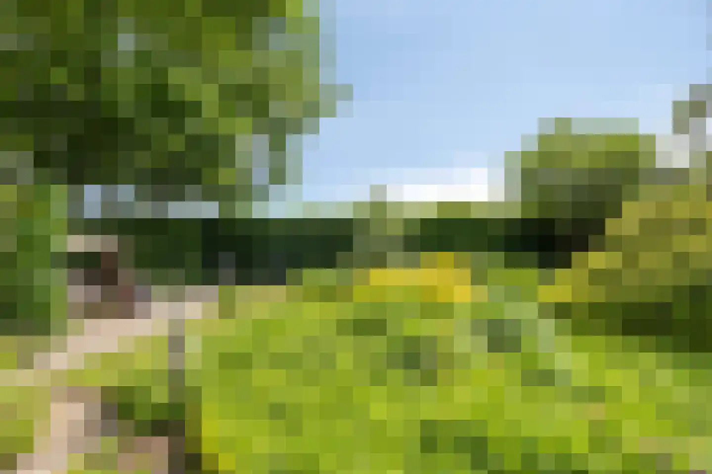 Lage Veenweg 6 Emst thumbnail 37