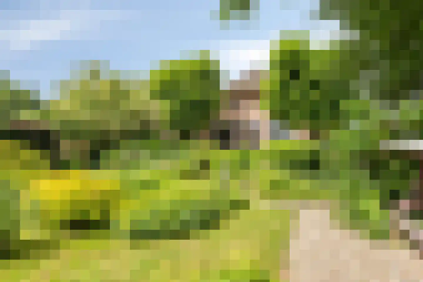 Lage Veenweg 6 Emst thumbnail 38
