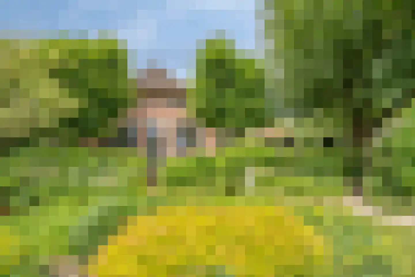 Lage Veenweg 6 Emst thumbnail 39