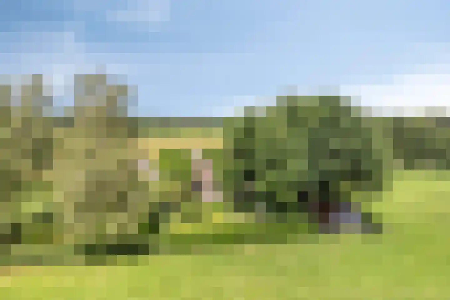 Lage Veenweg 6 Emst thumbnail 4