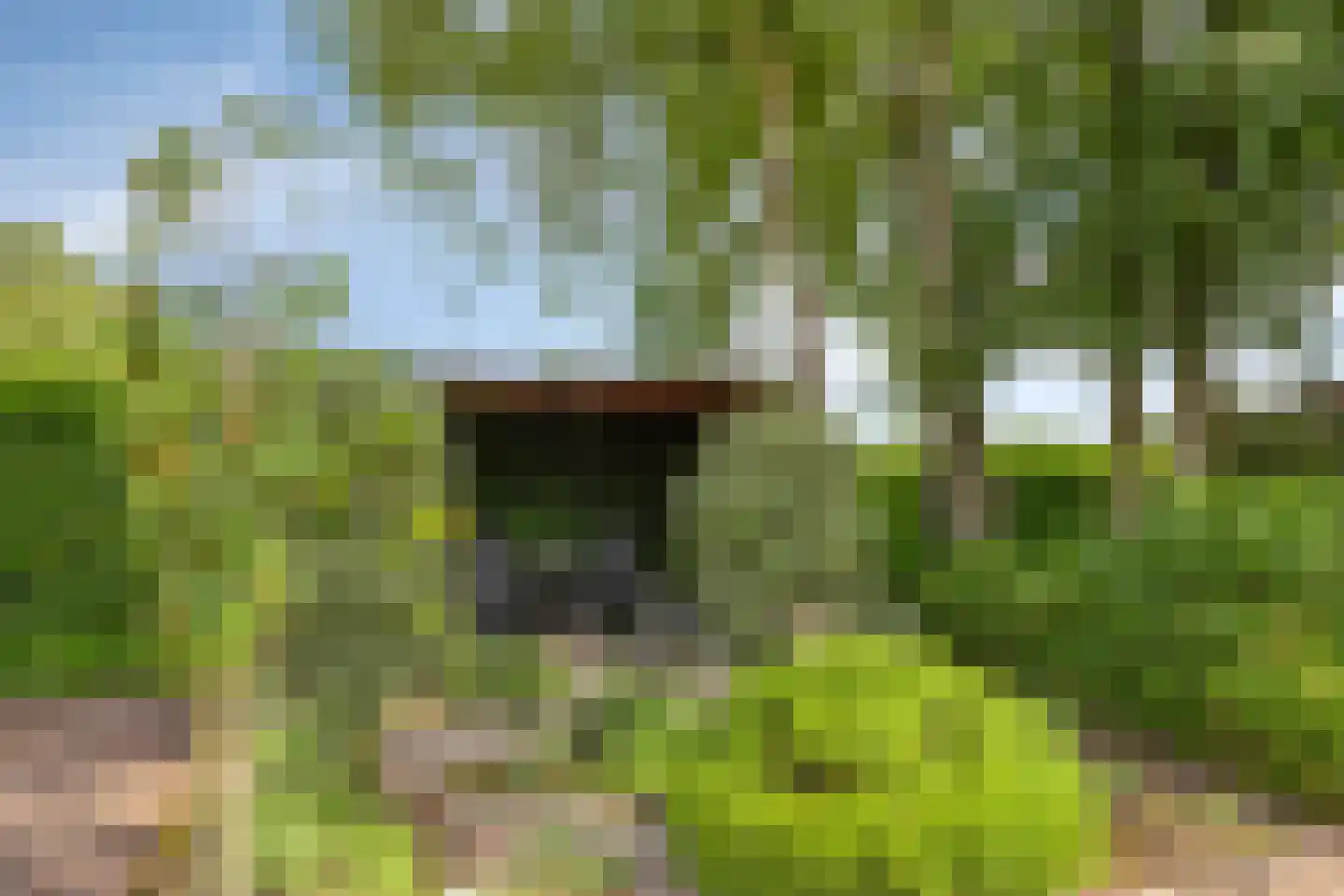 Lage Veenweg 6 Emst thumbnail 43