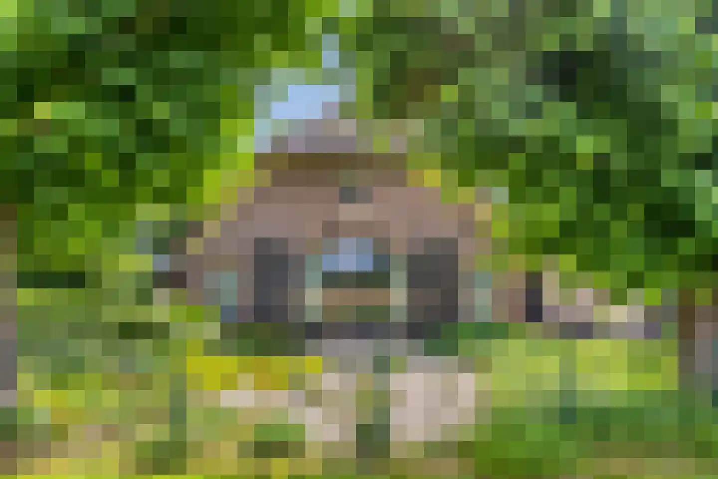 Lage Veenweg 6 Emst thumbnail 45