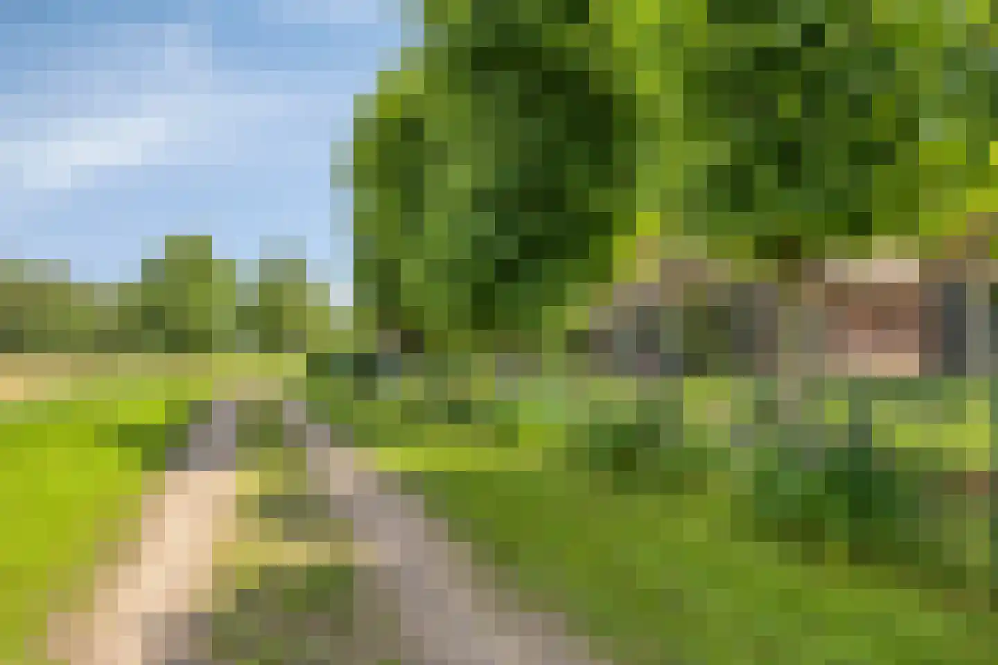 Lage Veenweg 6 Emst thumbnail 46