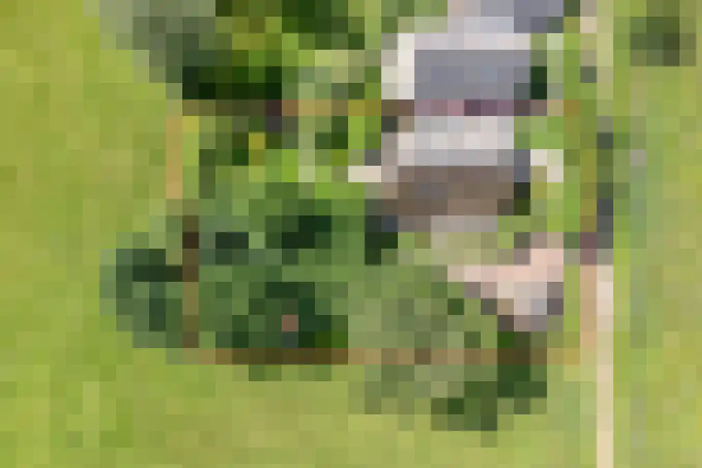 Lage Veenweg 6 Emst thumbnail 48