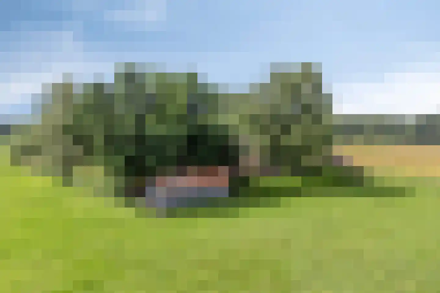 Lage Veenweg 6 Emst thumbnail 49