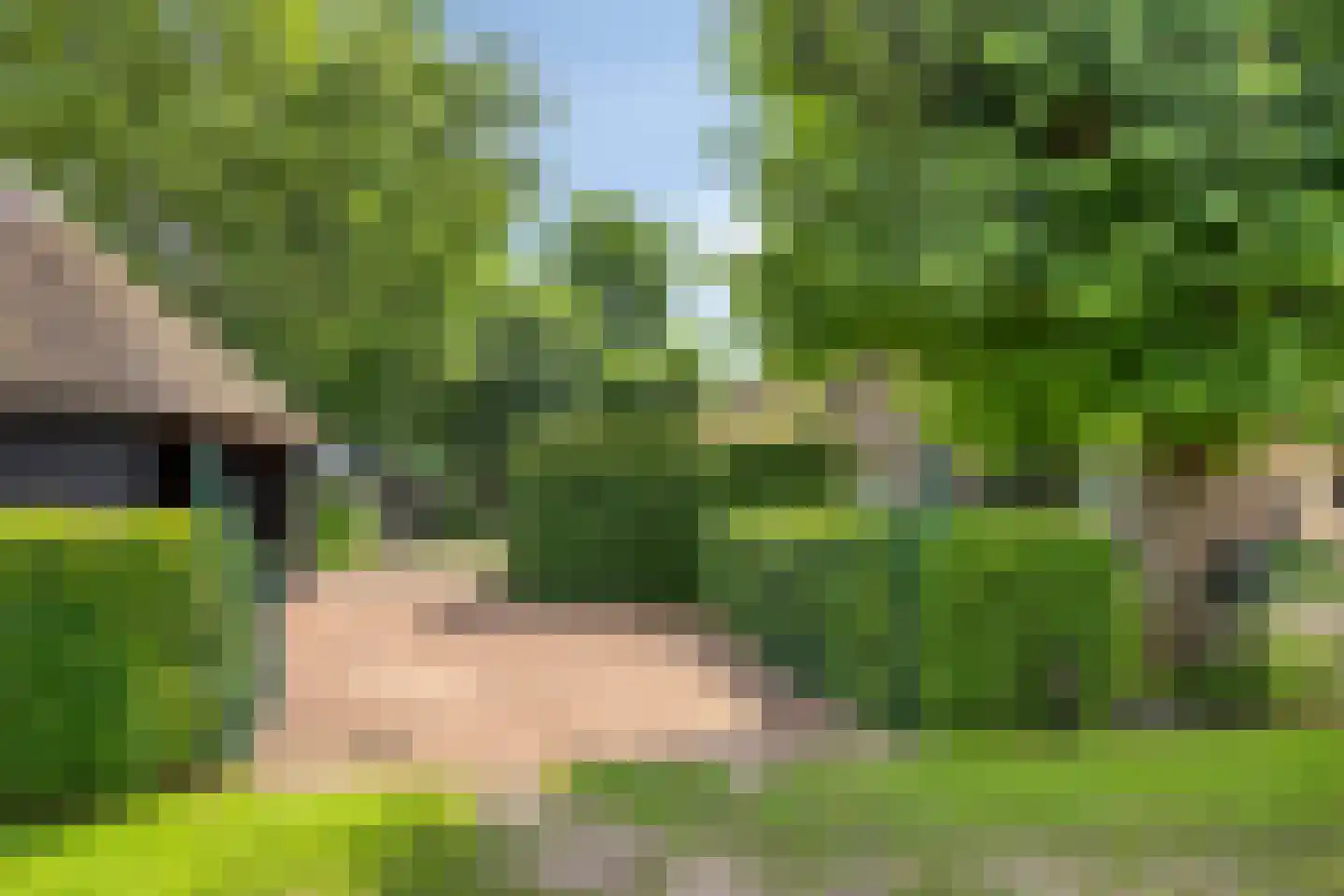 Lage Veenweg 6 Emst thumbnail 5