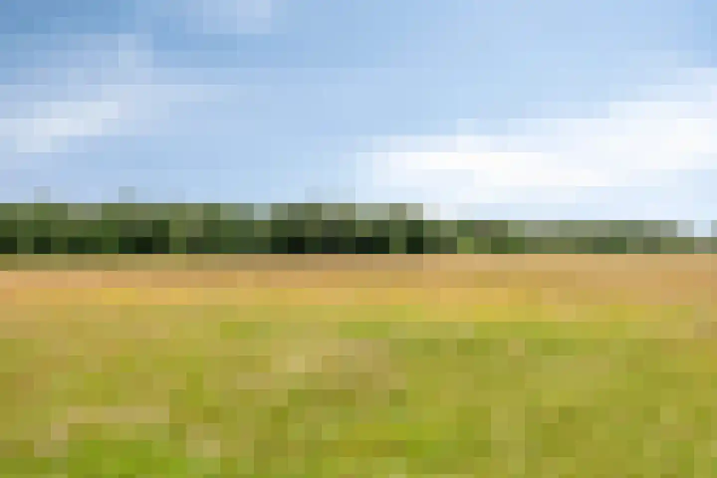 Lage Veenweg 6 Emst thumbnail 52