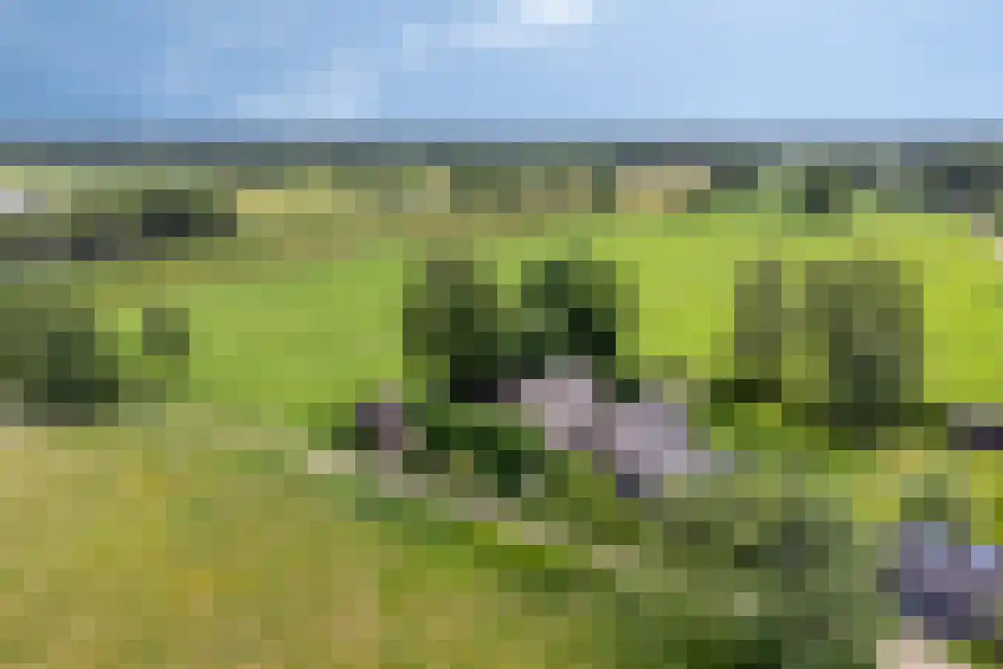 Lage Veenweg 6 Emst thumbnail 53
