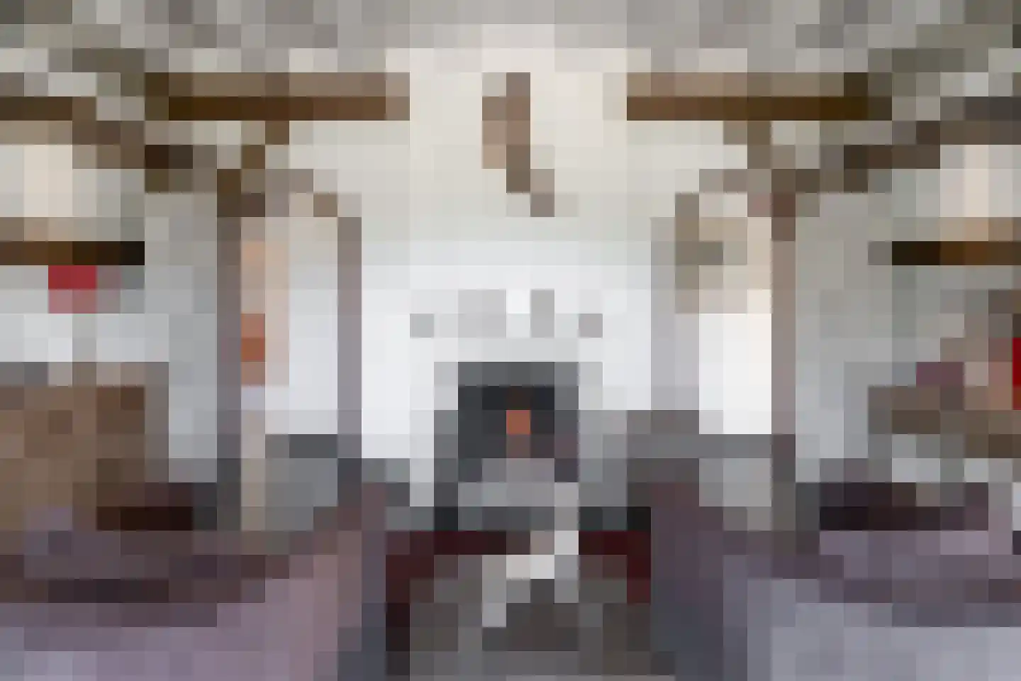 Lage Veenweg 9 Emst thumbnail 10