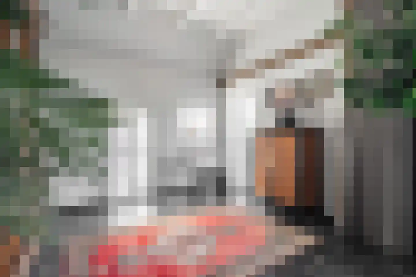 Lage Veenweg 9 Emst thumbnail 12