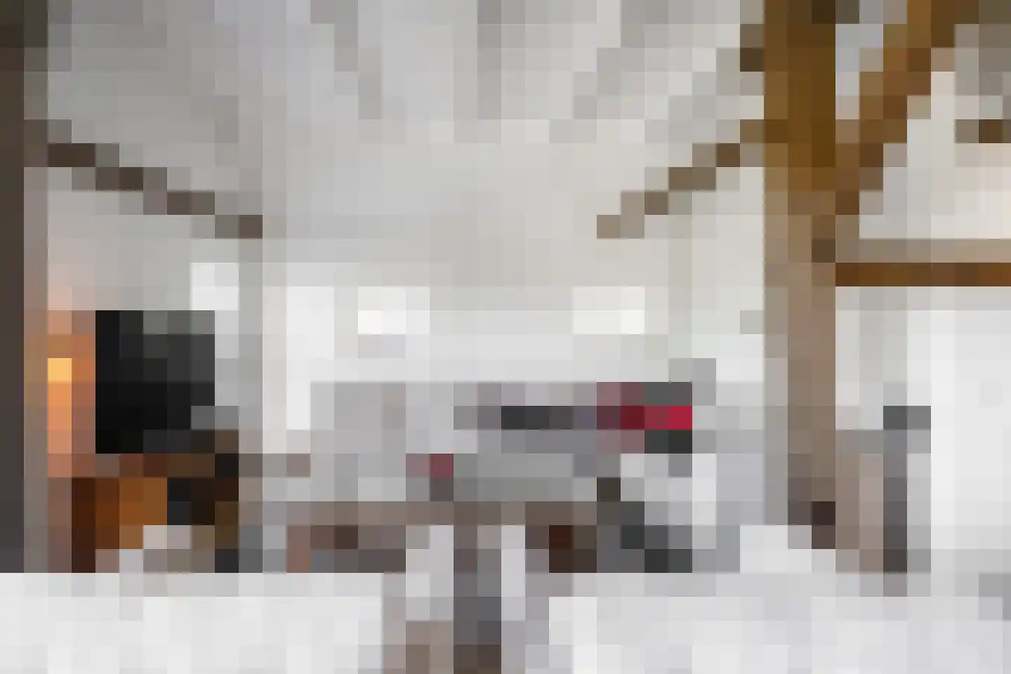 Lage Veenweg 9 Emst thumbnail 13