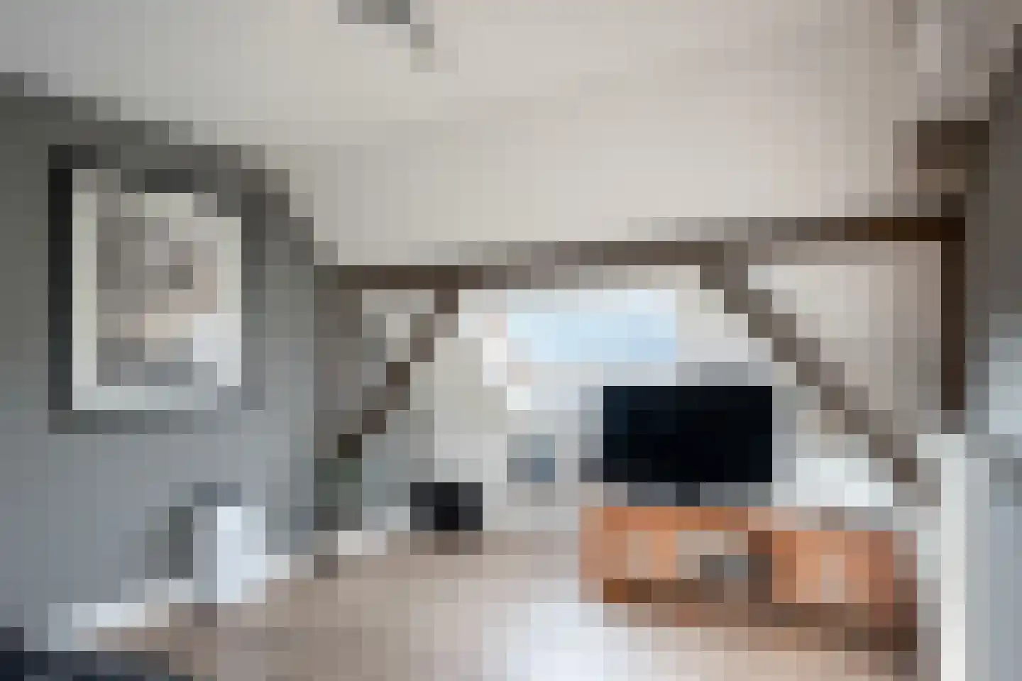 Lage Veenweg 9 Emst thumbnail 37