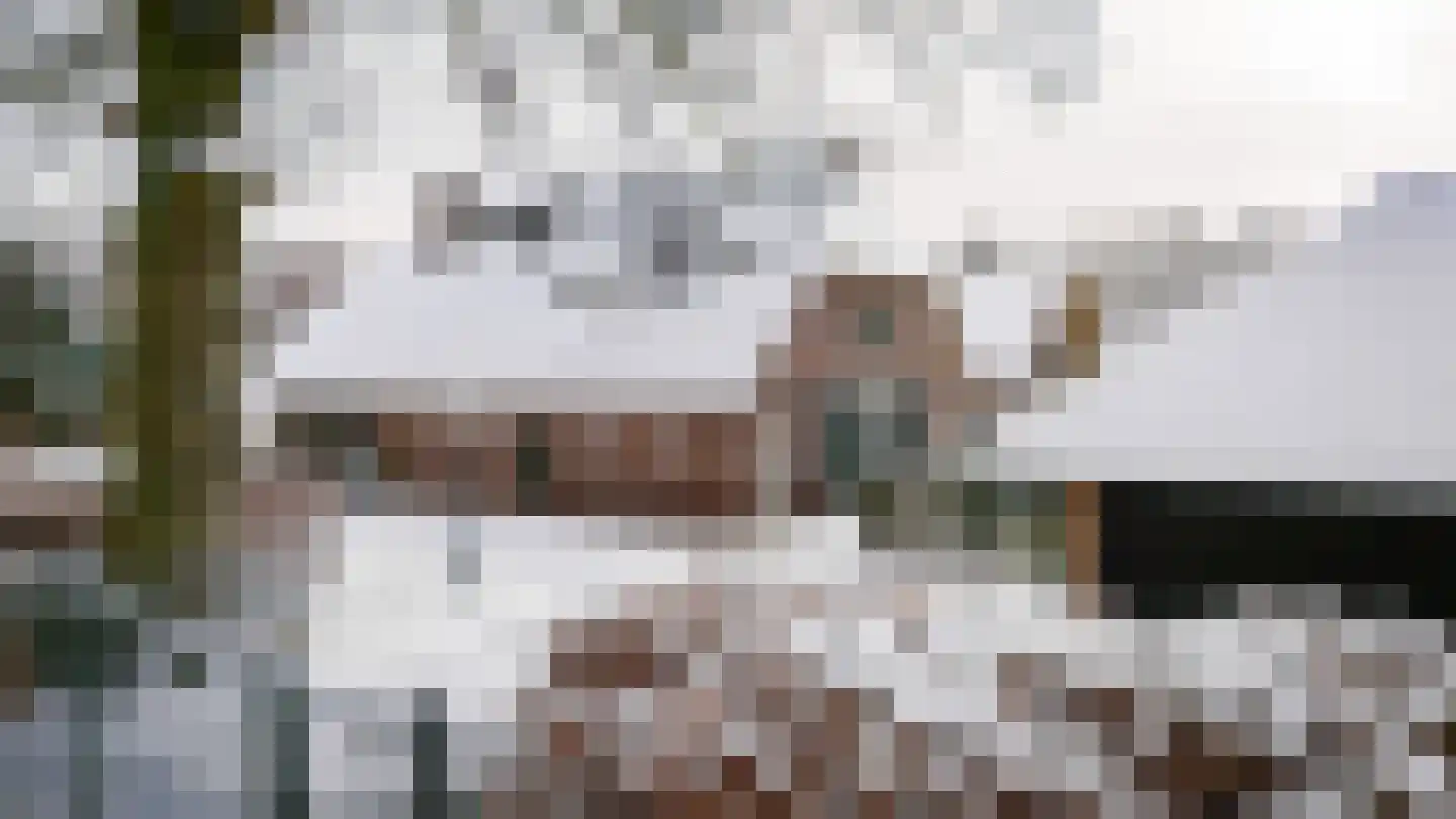 Lage Veenweg 9 Emst thumbnail 38