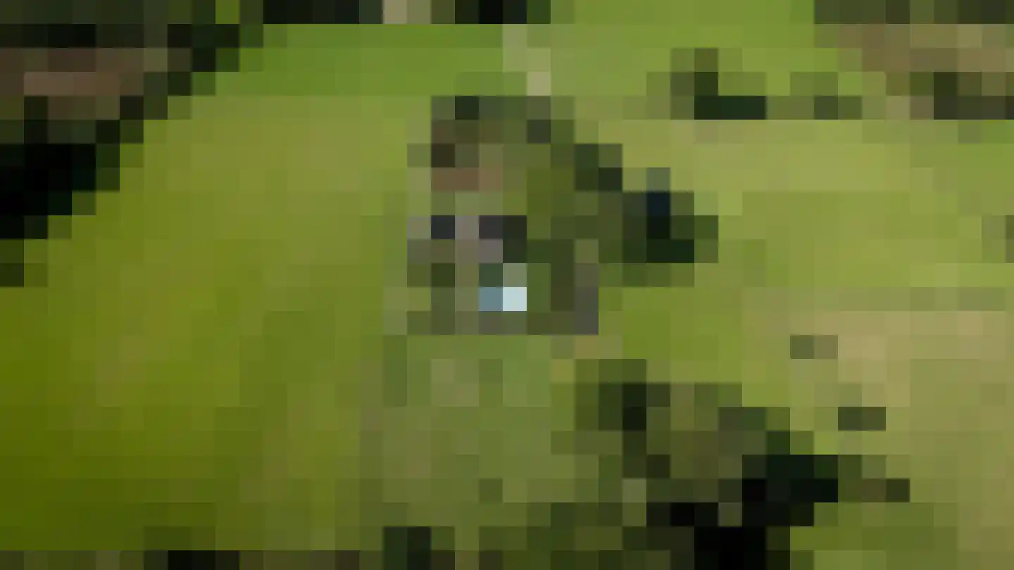 Lage Veenweg 9 Emst thumbnail 4