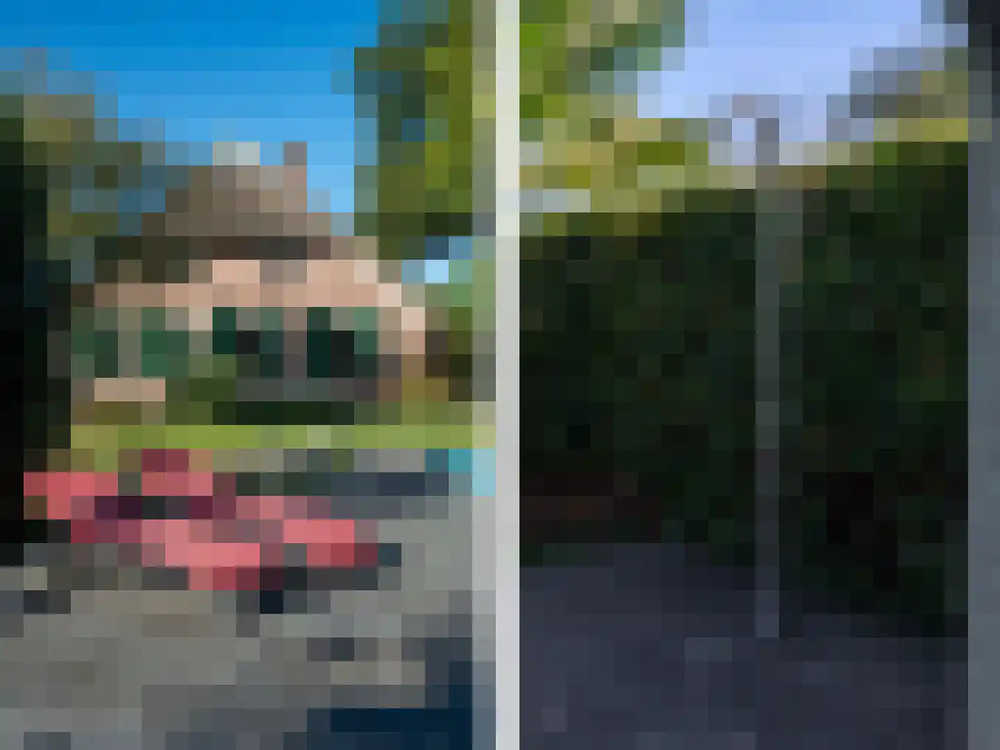 Lage Veenweg 9 Emst thumbnail 44