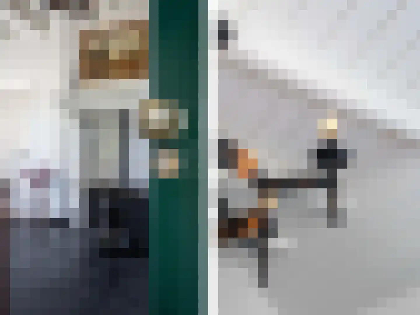 Lage Veenweg 9 Emst thumbnail 5