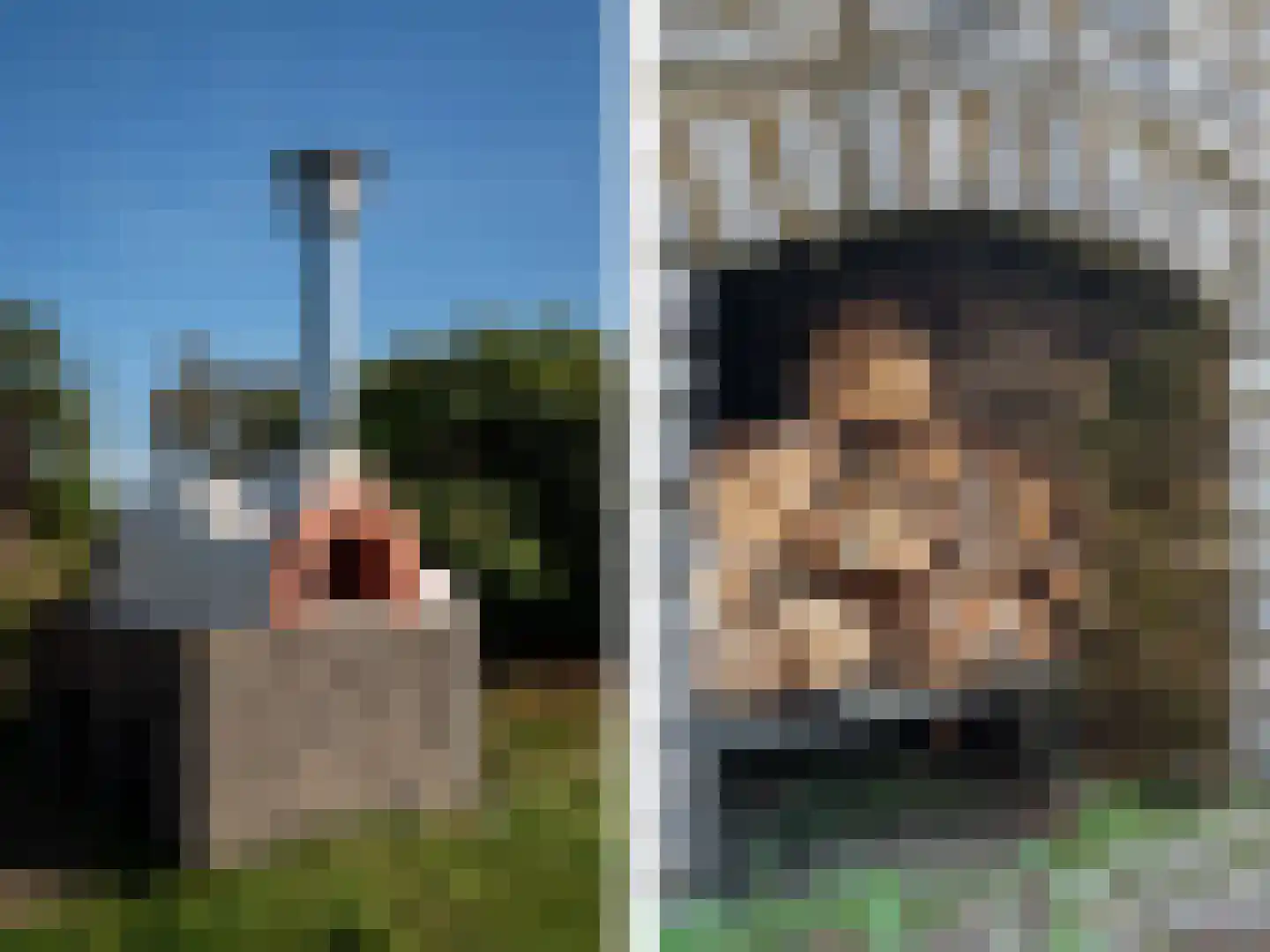 Lage Veenweg 9 Emst thumbnail 54
