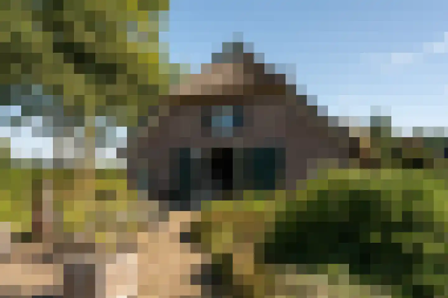 Lage Veenweg 9 Emst thumbnail 56
